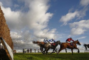 profitable horse racing